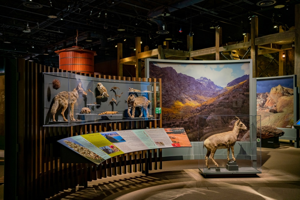 Interior view of the Nevada State Museum in Springs Preserve