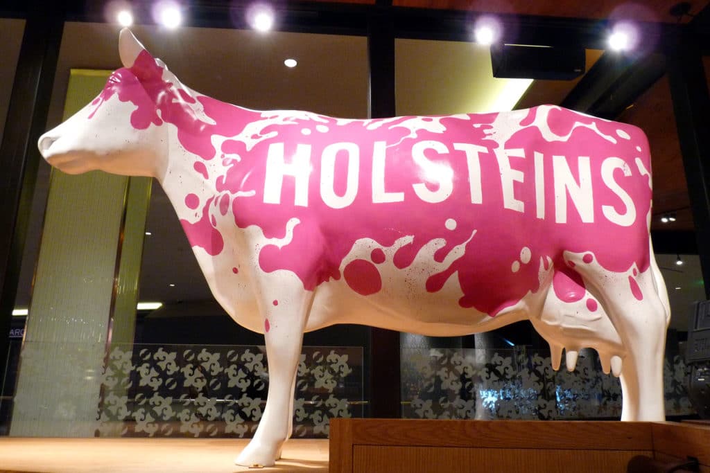 Holsteins cow