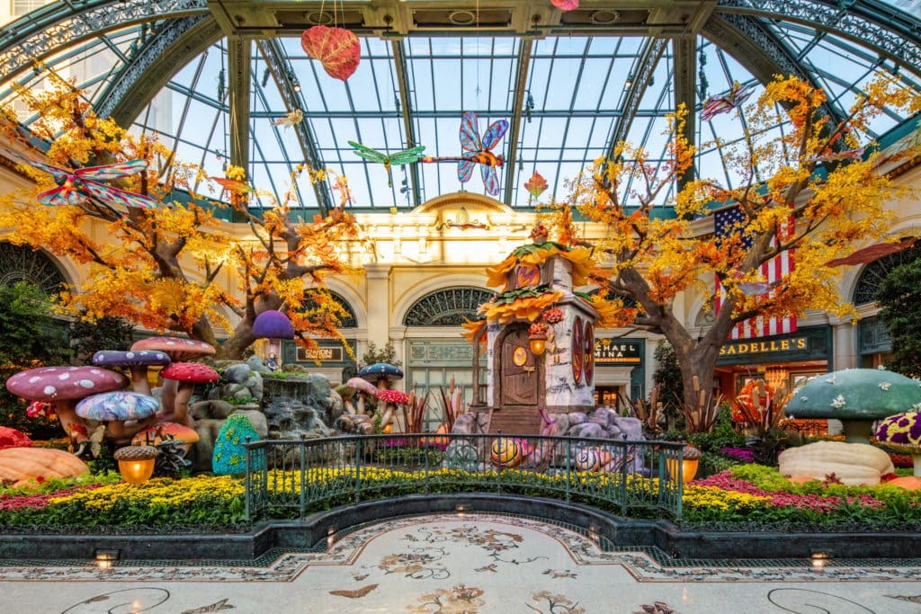 fall view of the Bellagio Conservatory