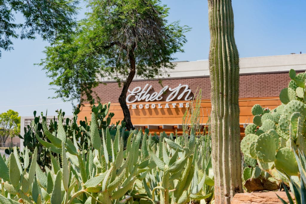 outdoor view of Ethel M sign with cactus