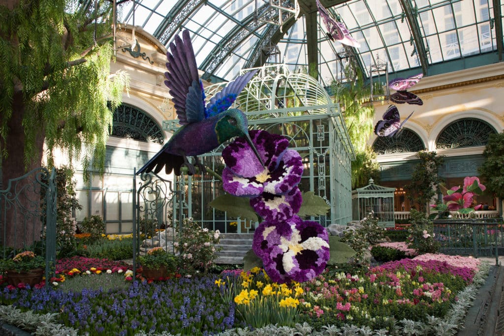 hummingbird with flowers at Bellagio Conservatory