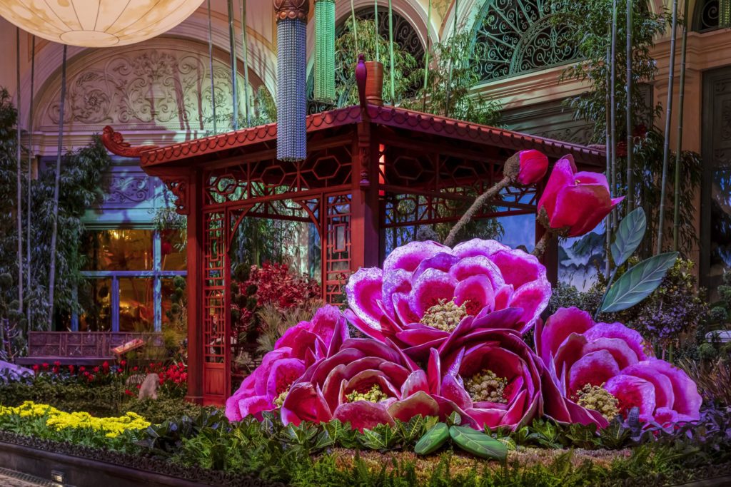 giant pink flower display at Bellagio Conservatory