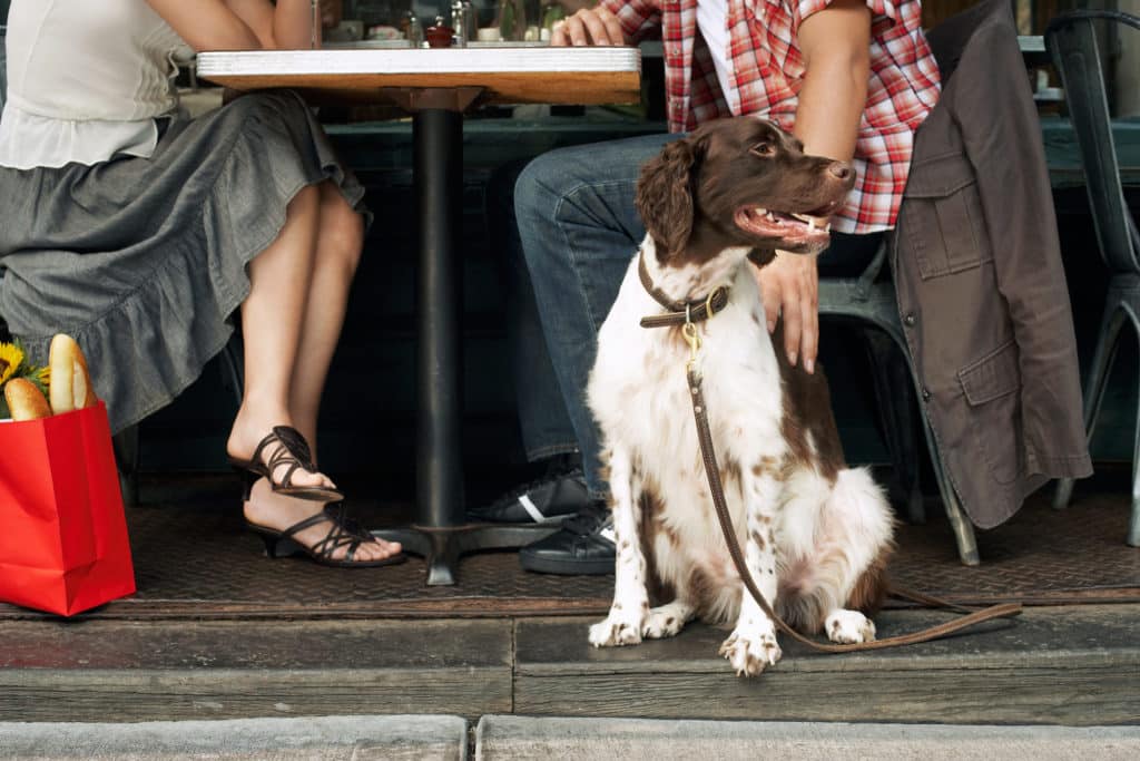 dog sitting on the ground next to two people at a table