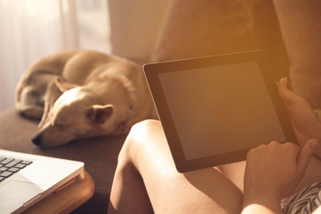 sleeping dog with a human holding an iPad next to a laptop on a couch