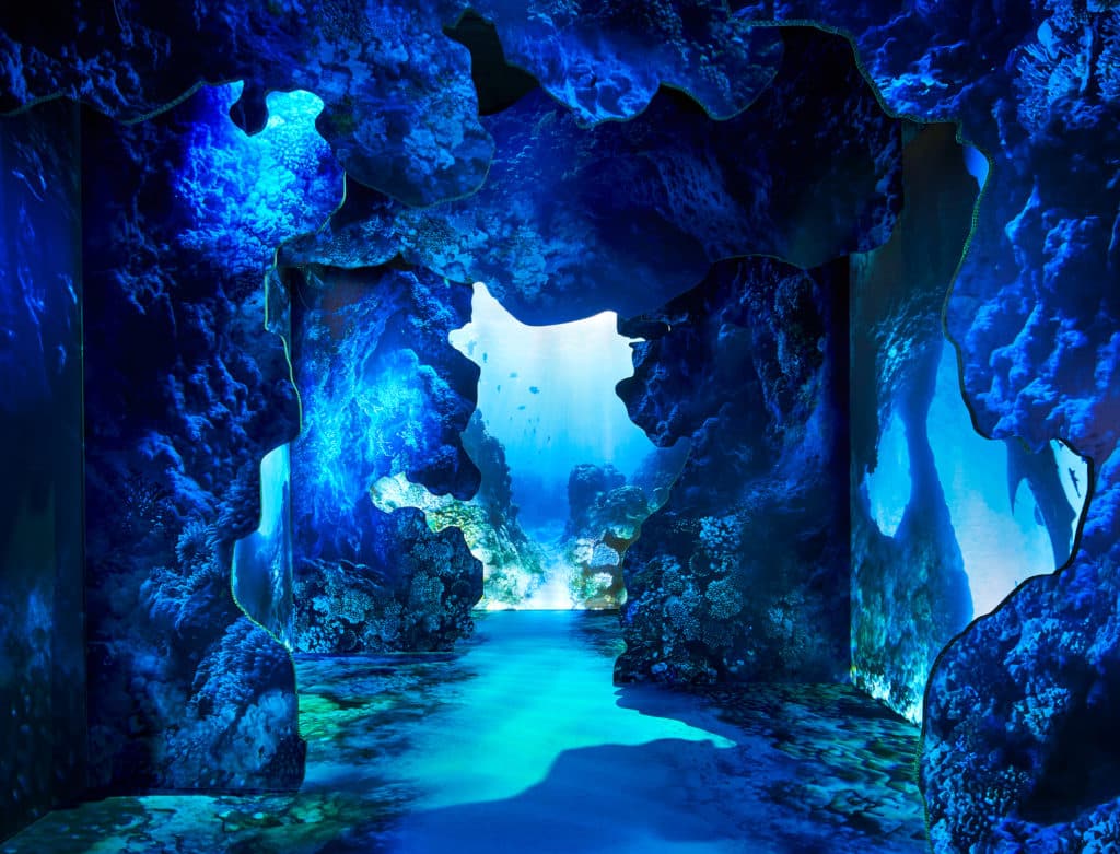 an underwater scene at Arcadia Earth