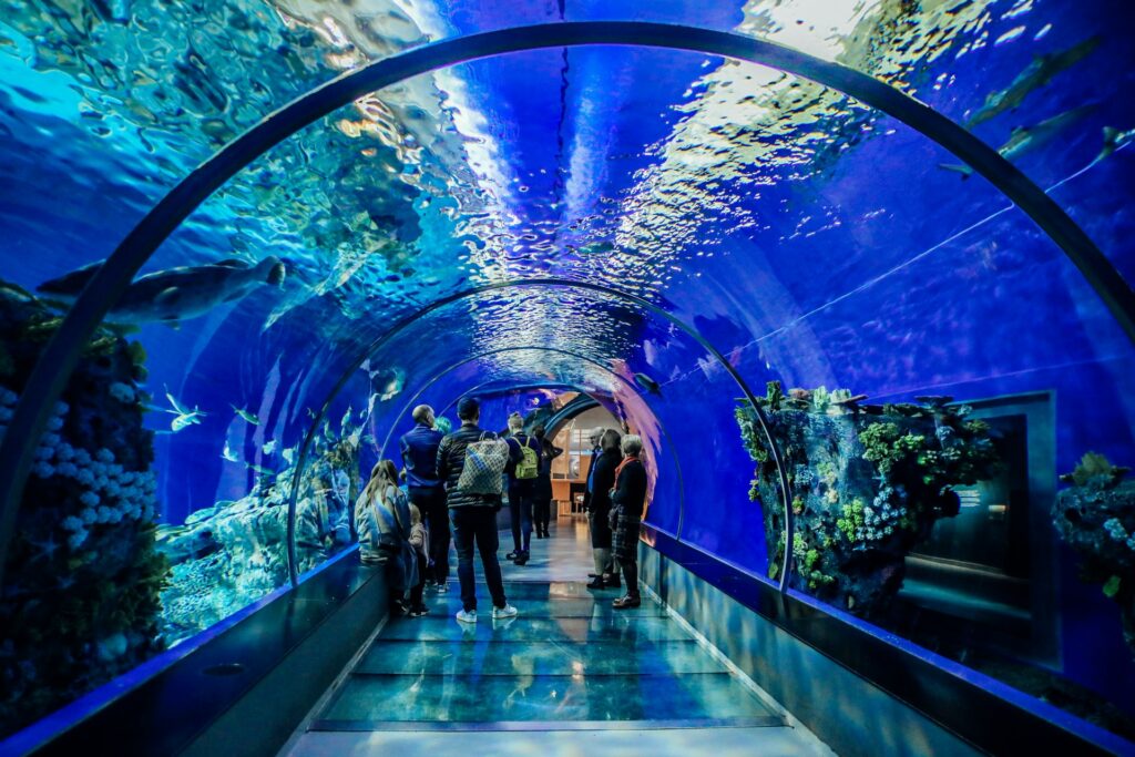 A group in an aquarium tunnel